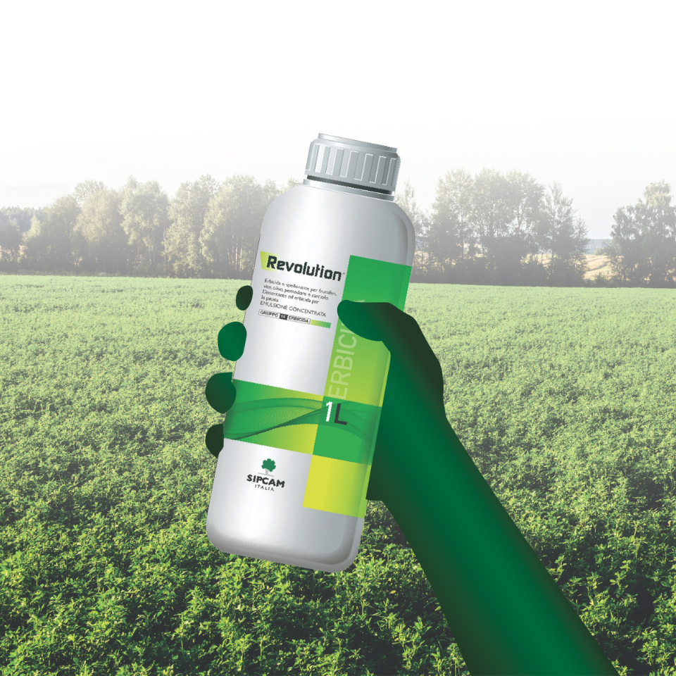 Revolution: il post-metribuzin senza problemi